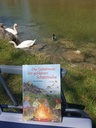 BaWü-Buch Schwan_130616.jpg