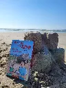 20240429_164426.webp