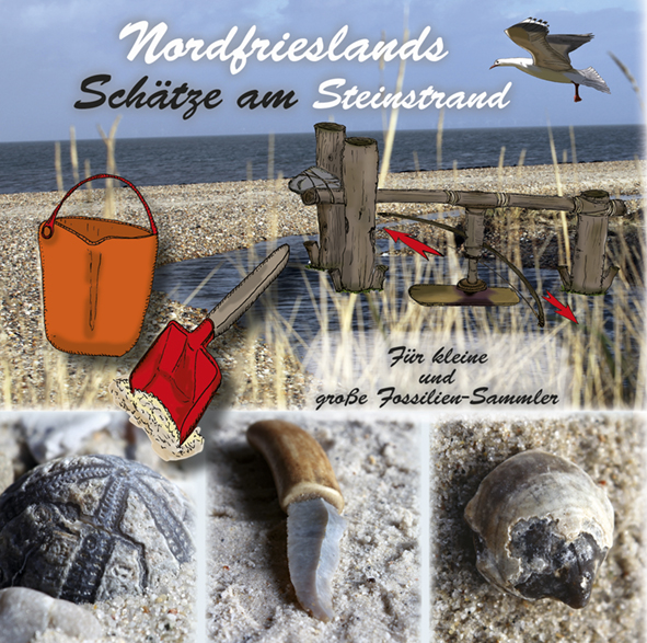 Nordfrieslands Schätze am Steinstrand - Für kleine und große Fossiliensammler